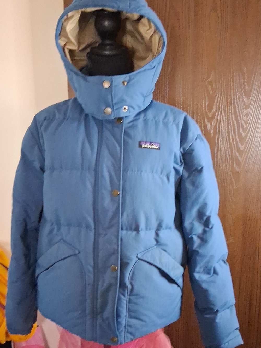 Patagonia Light Blue Hooded Puffer Jacket